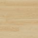 Виниловый пол Barlinek SPC Next Step Forma Coconut Дуб Натур DP3000018 фото 1