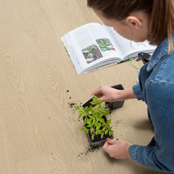 Виниловый пол Quick Step Alpha Vinyl Blos Base Дуб маслянка AVSPT40277 AVSPT40277 фото