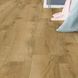 Вінілова підлога Firmfit SPC Discovery Natura Dryback EWH-2983GD EWH-2983GD фото 2