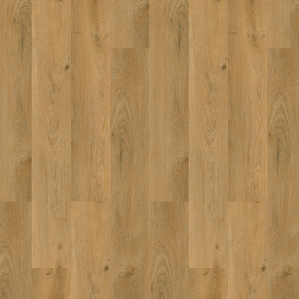 Вінілова підлога SPC Salag YUTRA WOOD YA2035 Solid Oak YA2035 фото